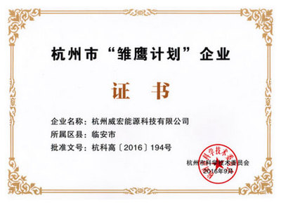 Hangzhou "Young eagle plan" enterprise